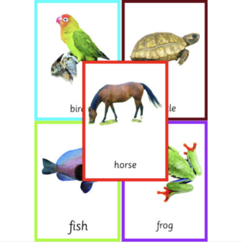 Bundle: Montessori Nomenclature 3-Part Cards For Parts Of A Fish ...