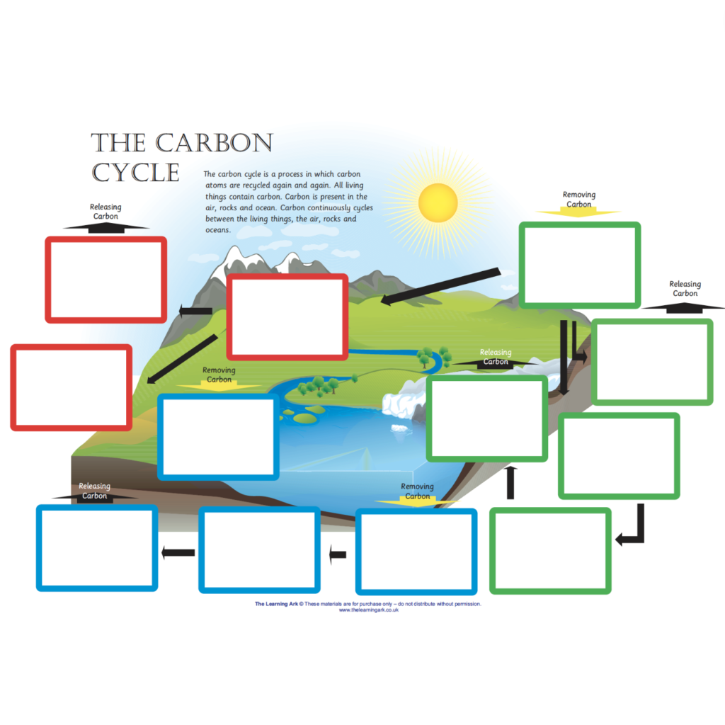 Carbon Cycle Chart and Cards Rumi Montessori