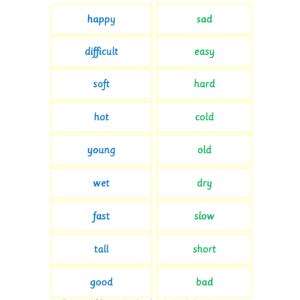 Montessori Antonym Words Card Set